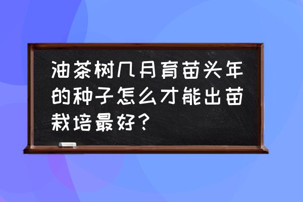 鲜油茶果直接榨油方法 油茶树几月育苗头年的种子怎么才能出苗栽培最好？