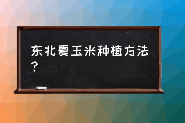 夏玉米施肥用什么肥料好 东北夏玉米种植方法？