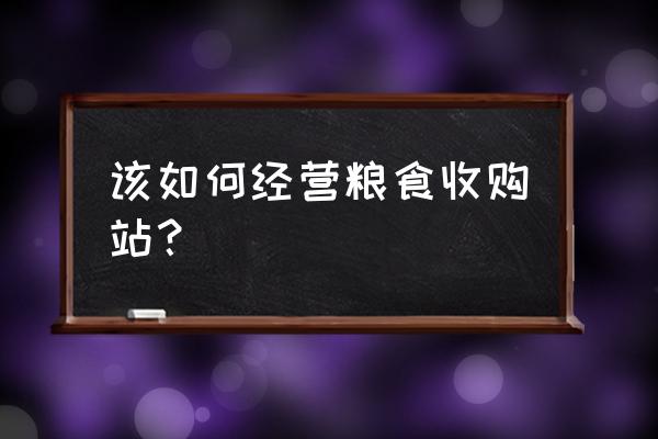 玉米怎么才能找到收购商 该如何经营粮食收购站？