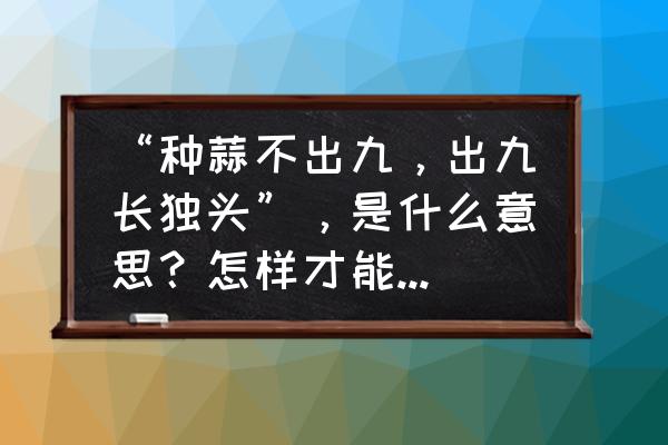 23年种植姜怎样预防倒春寒 “种蒜不出九，出九长独头”，是什么意思？怎样才能种出独头蒜？