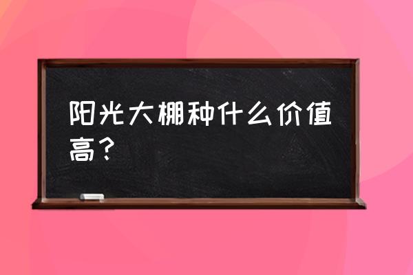 小型阳光板温室建造 阳光大棚种什么价值高？