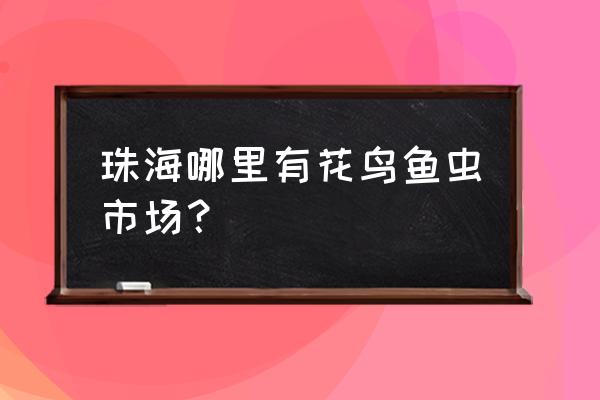 珠海哪个宠物市场好 珠海哪里有花鸟鱼虫市场？