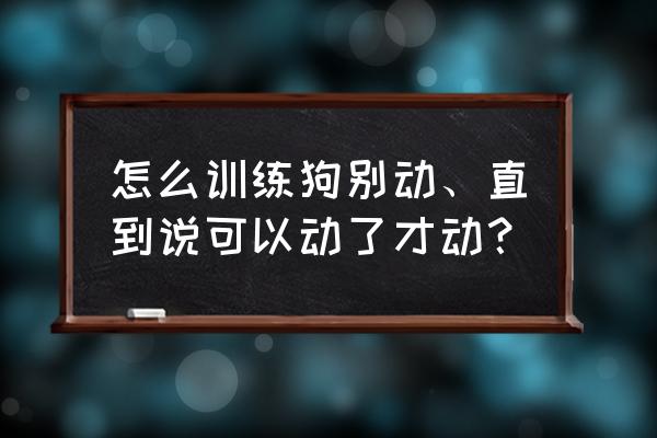 狗最怕三种手势图 怎么训练狗别动、直到说可以动了才动？