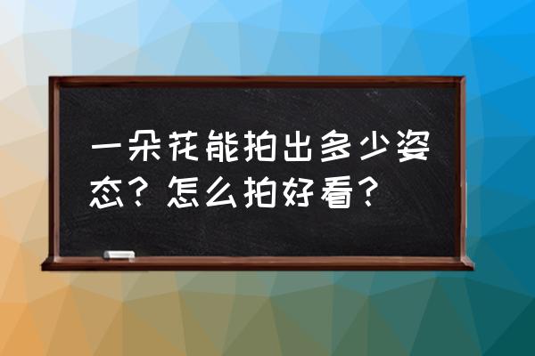 ps绒布制作教程 一朵花能拍出多少姿态？怎么拍好看？