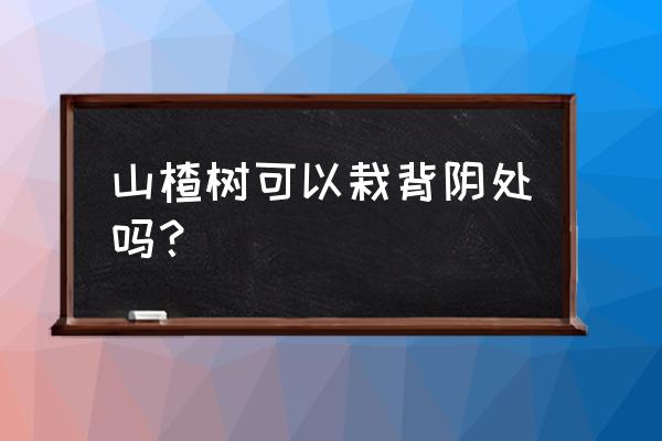 庭院为什么不能种山楂 山楂树可以栽背阴处吗？