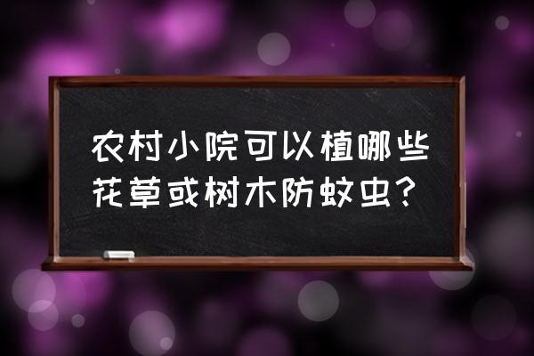 适合院子的珍贵植物树排名 农村小院可以植哪些花草或树木防蚊虫?