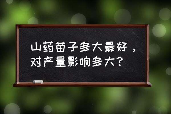 地窖山药悬空种植怎么种 山药苗子多大最好，对产量影响多大？