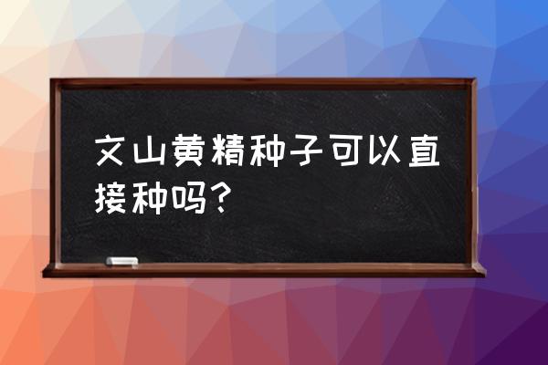 目前黄精种子育苗要多长时间发芽 文山黄精种子可以直接种吗？