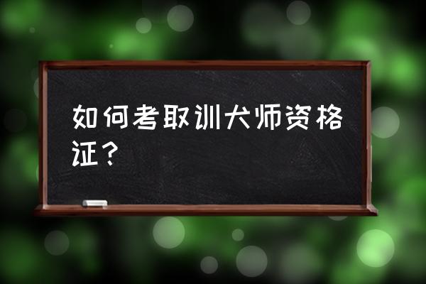 北京宠物美容培训学校哪个最好 如何考取训犬师资格证？