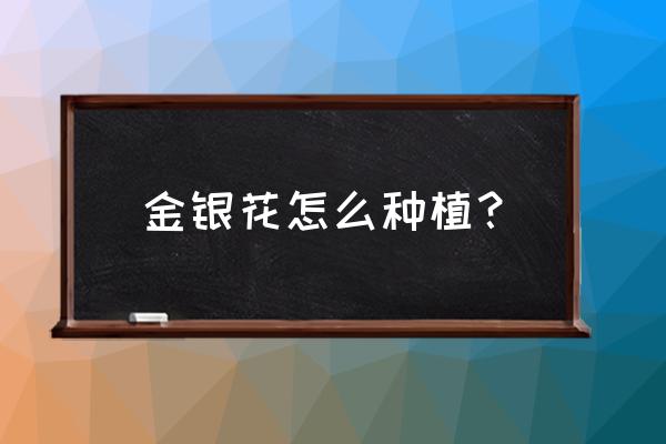 山银花的叶子怎么煮 金银花怎么种植? 山银花的叶子怎么煮 金银花怎么种植?