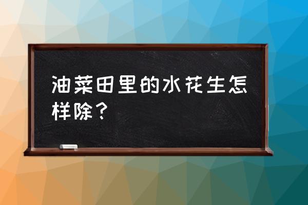 水花生根除特效配方 油菜田里的水花生怎样除？