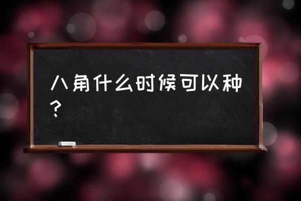 挑选八角最简单的方法 八角什么时候可以种? 挑选八角最简单的方法 八角什么时候可以种?