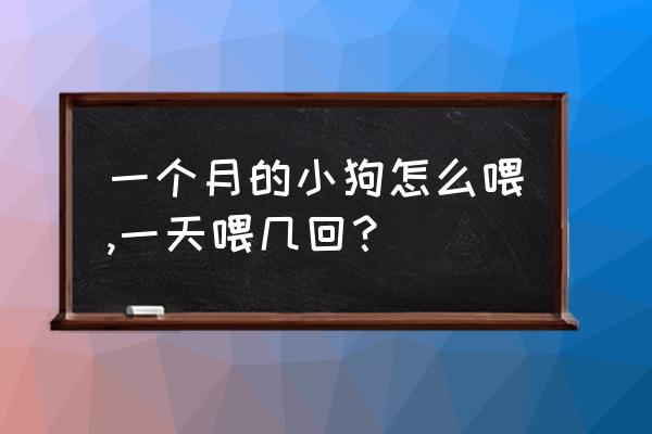 刚出生一周的狗狗怎么喂养 一个月的小狗怎么喂,一天喂几回? 刚出生一周的狗狗怎么喂养 一个月的小狗怎么喂,一天喂几回?