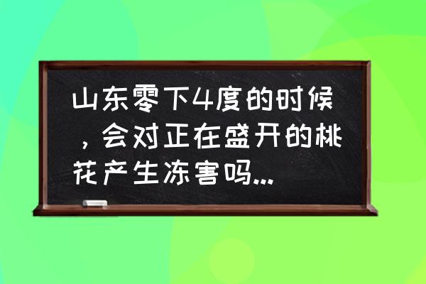 冬天车在外面如何防霜冻 山东零下4度的时候,会对正在盛开的桃花产生冻害吗?如果会,怎样补救? 冬天车在外面如何防霜冻 山东零下4度的时候,会对正在盛开的桃花产生冻害吗?如果会,怎样补救?