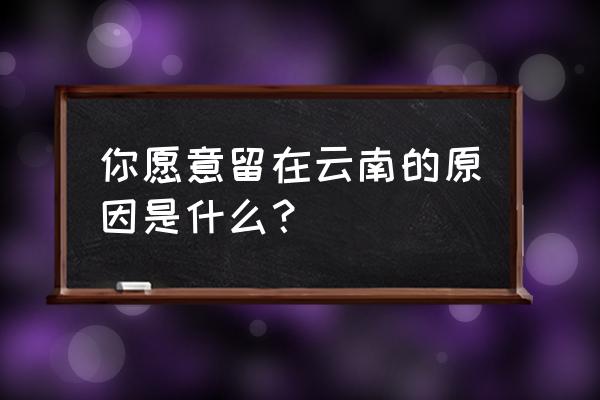 去云南昆明必须玩的地方推荐理由 你愿意留在云南的原因是什么? 去云南昆明必须玩的地方推荐理由 你愿意留在云南的原因是什么?