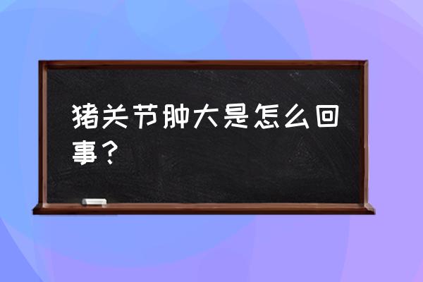 副猪嗜血杆菌病和链球菌 猪关节肿大是怎么回事? 副猪嗜血杆菌病和链球菌 猪关节肿大是怎么回事?