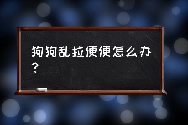 怎么训练狗狗最简单 狗狗乱拉便便怎么办? 怎么训练狗狗最简单 狗狗乱拉便便怎么办?