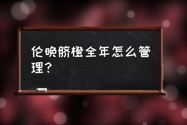 脐橙保果的最佳方法 伦晚脐橙全年怎么管理? 脐橙保果的最佳方法 伦晚脐橙全年怎么管理?