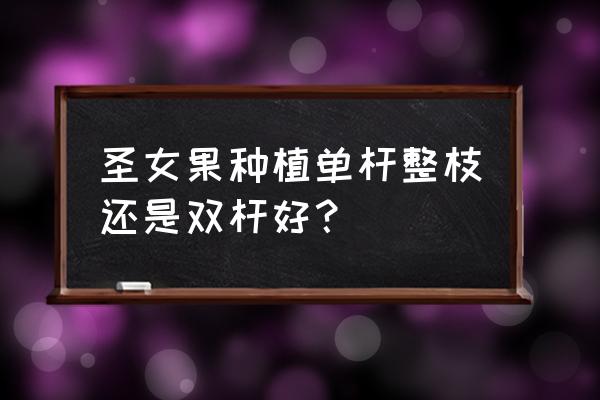 有双杆单杆制定锻炼计划 圣女果种植单杆整枝还是双杆好？