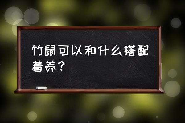 野生竹鼠拿回来怎么养活 竹鼠可以和什么搭配着养？