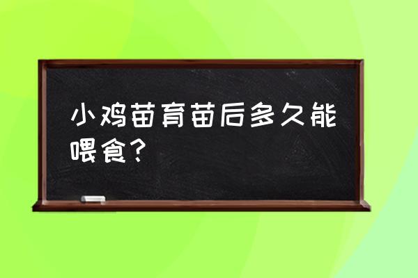 1-7天鸡苗如何喂养 小鸡苗育苗后多久能喂食？